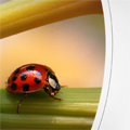 fine art photo paper