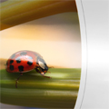 glossy photo paper