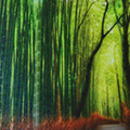 Smooth Matte wall mural